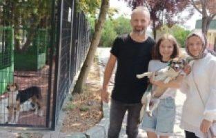 3 can dosta sıcak yuva