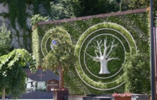 Bursa’nın yeşili estetikle buluşuyor