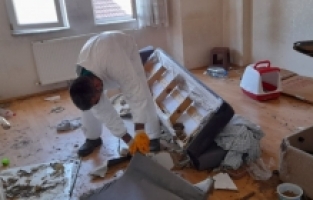 Çöp evden onlarca kedi çıktı