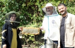 İnegöl’de Bal Hasadı Başladı