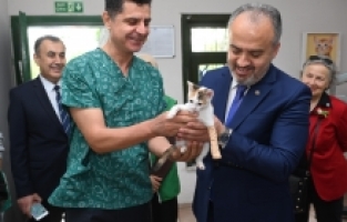 Hayat Birlikte Daha Güzel