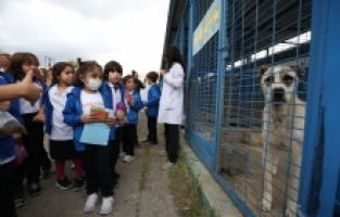 Hayvan Hakları Günü’nde Can Dostları Unutmadılar