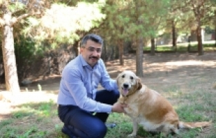 2023'ün İlk 4 Ayında 1352 Can Dostu Tedavi Edildi