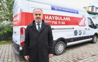 Patili Dostlara ‘Haybulans’