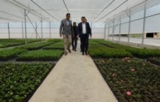 YILDIRIM BELEDİYESİ’NDEN 25 BİN FİDE