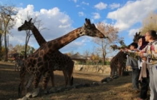 ÇOCUKLARIN BAYRAMI HAYVANAT BAHÇESİ’NDE