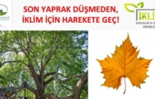 OSMANGAZİ, İKLİM DEĞİŞİKLİĞİ İLE MÜCADELEDE YOL HARİTASINI BELİRLEDİ