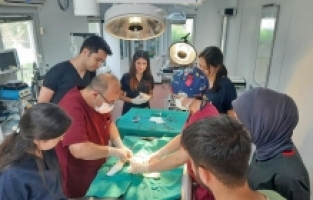 ARAÇ ÇARPAN KEDİ YAPILAN OPERASYONLA HAYATA TUTUNDU