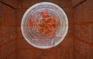 DOĞAYI TEKNOLOJİYLE HARMANLAYAN SERGİ