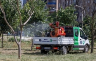 SİNEKLE MÜCADELE HIZ KESMİYOR