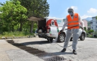 YILDIRIM'DA HAŞERELERLE MÜCADELE DEVAM EDİYOR