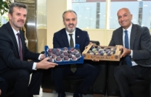 Bursa Siyah İncirinin İhracatı İçin Çalıştay Düzenlendi
