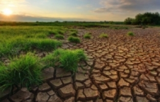 İklim yıkımı, gezegenin geleceği için ciddi bir tehdit