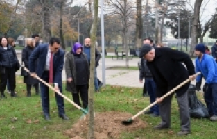 Osmangazi Belediyesi, lodosun verdiği zararları gideriyor