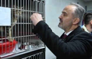 Can dostlara modern yeni yuva