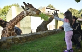 23 Nisan’da ulaşım ve Bursa Hayvanat Bahçesi ücretsiz olacak