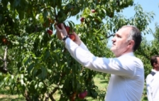 İnegöl Belediyesi Çiftçisinin Yanında