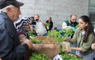 Nilüfer Belediyesi’nde ücretsiz fide dağıtımı