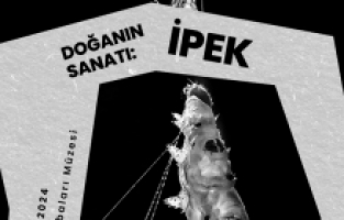 Tofaş Bursa Anadolu Arabaları Müzesi’nde Yeni Fotoğraf Sergisi“doğa’nın Sanatı: İpek”