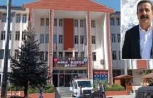 Hakkari Belediyesi Eş Başkanı Mehmet Akış gözaltına alındı! Polis belediyede arama yapıyor