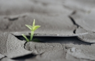 Çevresel Riskler Sigorta Sektörünü Nasıl Etkiliyor?