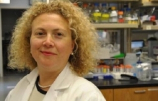 Dr. Hande Özdinler dünyanın en iyi buluş yapan 10 akademisyeninden biri seçildi.
