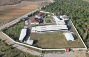 266 Can Dostu yeni yuvasına kavuştu