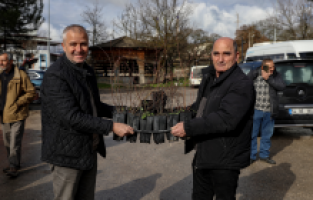 Kırsal kalkınmada dev adım: 83 bin fide ve fidan hedefi