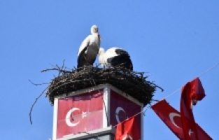 İznik’in sembol çifti Can ve Canan kavuştu