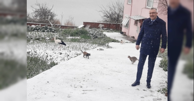 Yaren Leylek karla tanıştı, soluğu dostunun yanında aldı