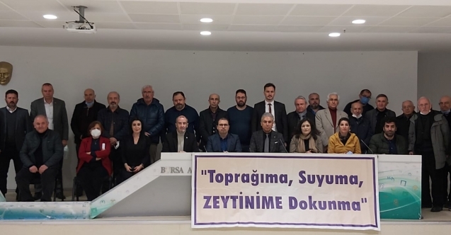 Zeytinliklerin Ölüm Fermanı