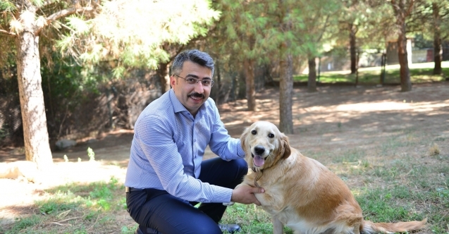 Yıldırımda Sokak Hayvanları Emin Ellerde