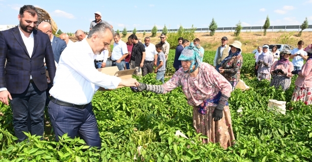 Tarlada serinleten ziyaret