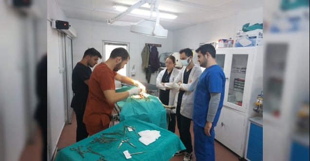 Veteriner Hekim Adaylarına Uygulamalı Eğitim