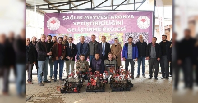 İznik#039;in bereketi sağlık meyvesi aronya ile buluşuyor