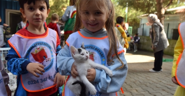 Yıldırım Belediyesi, sokak hayvanları için seferber oldu