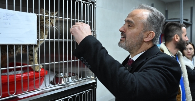 Can dostlara modern yeni yuva
