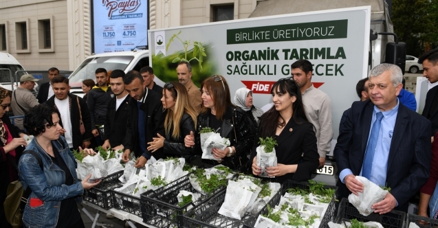 Osmangazi Belediyesinden vatandaşa 100 bin fide