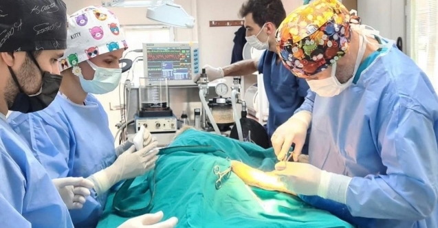6 ayda 2170 kedi ve köpek kısırlaştırıldı