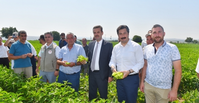 Yenişehir biberinin değerini artıracağız