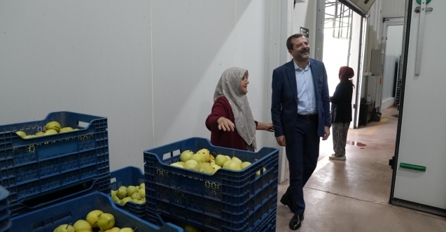 Hayriye Teyze Gürsu armudu ile girişimci oldu