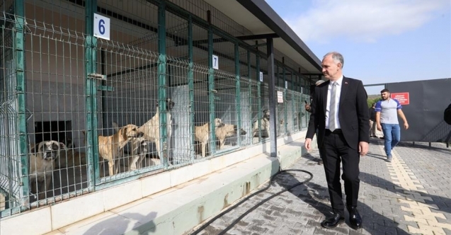 İnegölde Sokak Hayvanları İçin Yeni Adımlar Atılıyor
