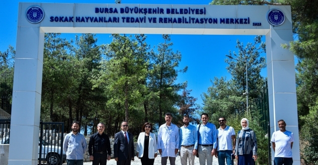 Bursa Büyükşehir Belediyesi#039;nden sahipsiz hayvanlara destek projesi