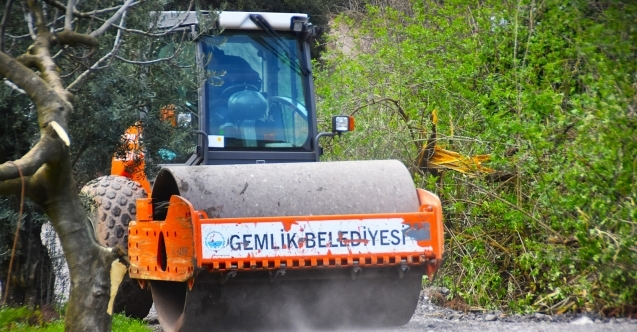 Gemlik Belediyesi#039;nden sokak hayvanlarına yeni yaşam alanı