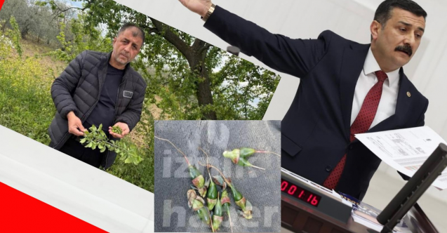 Türkoğlu, üreticiyi perişan eden don afetini TBMM gündemine taşıdı