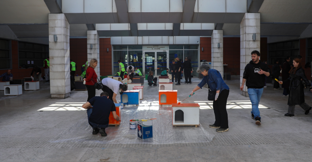 Bursa’da kedi evi mesaisi