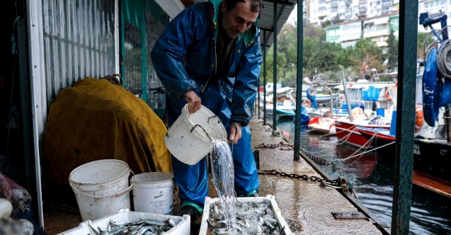 Deniz emekçilerine yüzde 100 hibeli destek