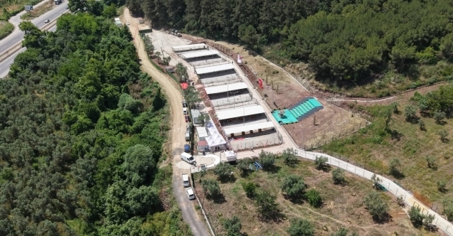 Gemlik'te can dostlara güvenli yuva