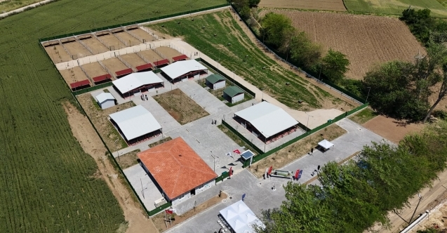 Güney Marmara’nın en büyük can dostları merkezi Yenişehir’de açıldı