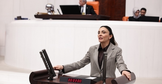 Emekli maaşları TBMM dilekçe komisyonu gündeminde